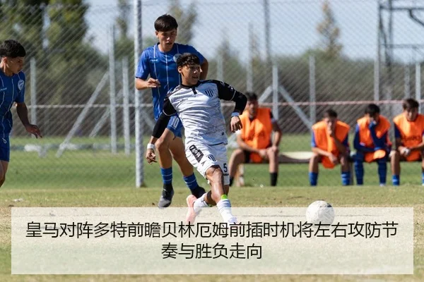 img_1783875427023_3299_1_343.jpg